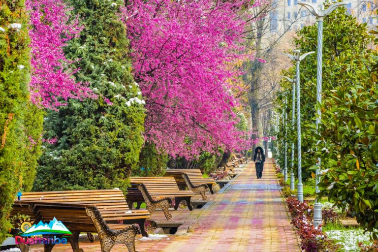 Субҳ ба хайр, Тоҷикистон! Як рӯз дар таърих, зодрӯзи шахсиятҳо, вазъи ҳаво барои 24 марти соли 2026