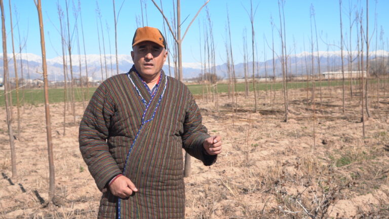 Как в Таджикистане заработать $2 млн на 4 гектарах?