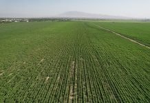 Хатлонская область будет сотрудничать с тремя регионами России