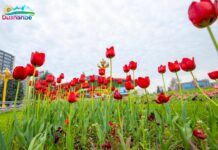 Субҳ ба хайр, Тоҷикистон! Як рӯз дар таърих, зодрӯзи шахсиятҳо, вазъи ҳаво барои 28 марти соли 2026