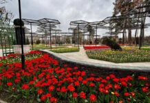 Субҳ ба хайр, Тоҷикистон! Як рӯз дар таърих, зодрӯзи шахсиятҳо, вазъи ҳаво барои 27 марти соли 2026