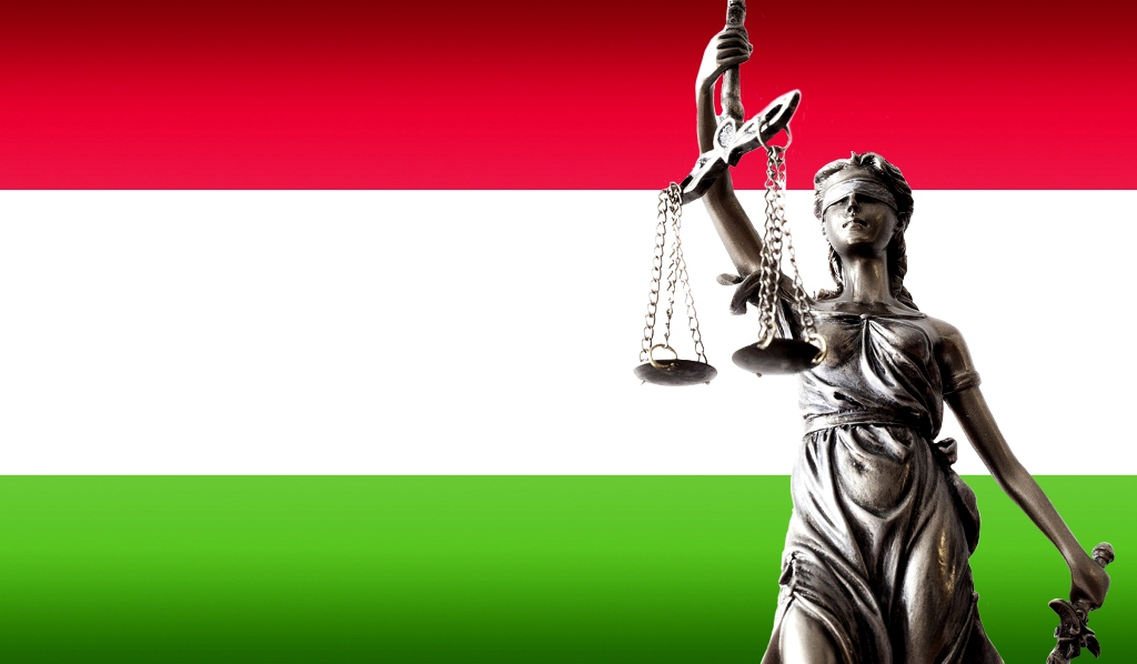 «МОДДАИ 19»*