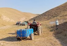 Tajikistan begins implementing CIS agreement on locust control