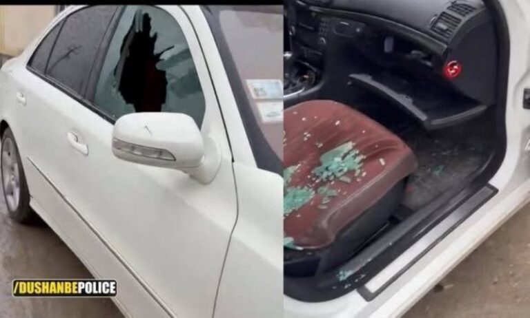 В Душанбе раскрыта серия краж из автомобилей, задержан подросток