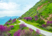 Субҳ ба хайр, Тоҷикистон! Як рӯз дар таърих, зодрӯзи шахсиятҳо, вазъи ҳаво барои 9 апрели соли 2026