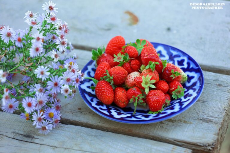 Субҳ ба хайр, Тоҷикистон! Як рӯз дар таърих, зодрӯзи шахсиятҳо, вазъи ҳаво барои 29 апрели соли 2026
