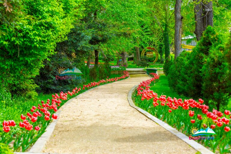 Субҳ ба хайр, Тоҷикистон! Як рӯз дар таърих, зодрӯзи шахсиятҳо, вазъи ҳаво барои 19 апрели соли 2026