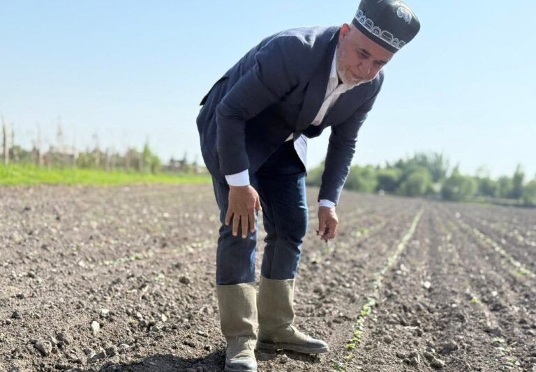 In Tajikistan, registration of dehqon farms has been simplified
