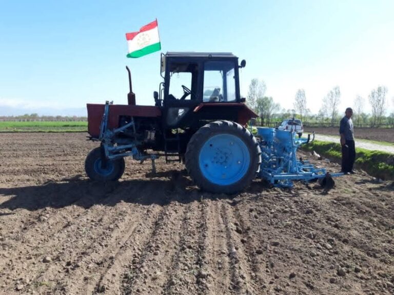 В Таджикистане начался сев хлопчатника: фермеров обязали засеять 70% земель