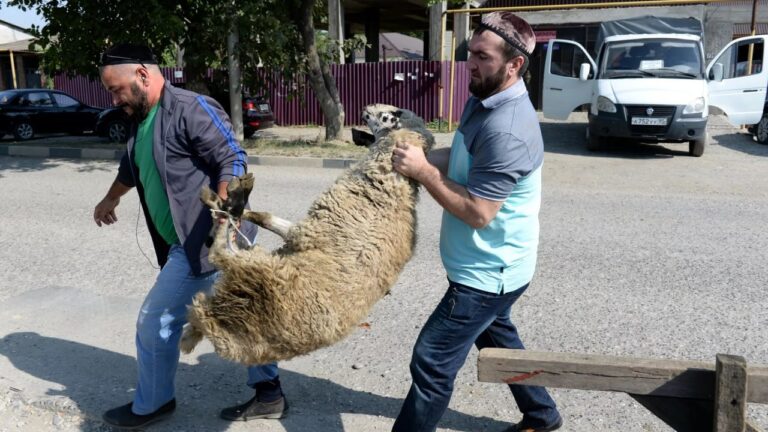 Дар Тоҷикистон иди Қурбон кай таҷлил мешавад?