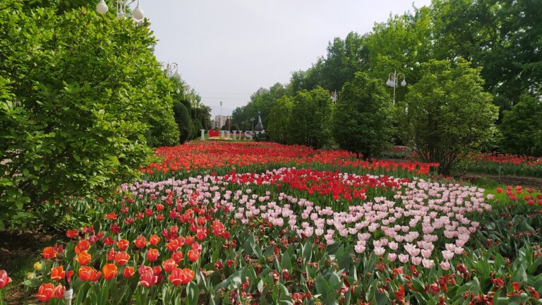 Салом алейкум, Таджикистан! Анонсы событий, день в истории, прогноз погоды на 24 апреля 2026 года