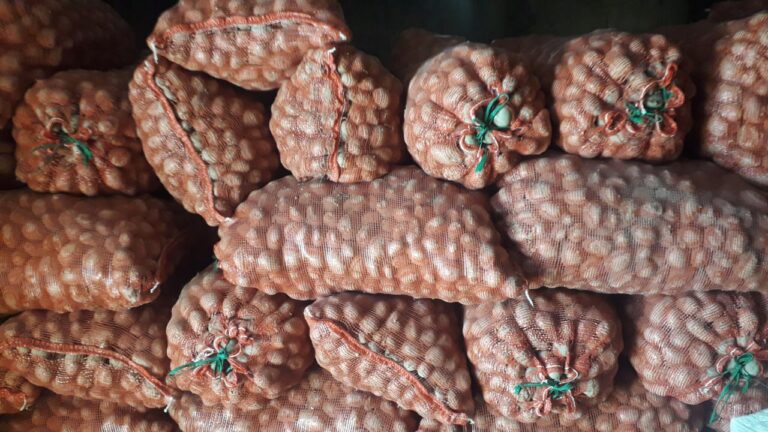 Поставки картофеля из Казахстана в Таджикистан выросли в 257 раз