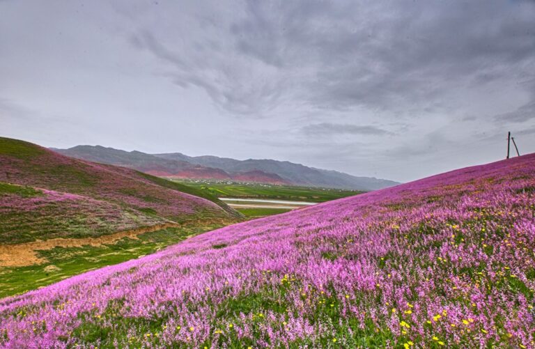 Салом алейкум, Таджикистан! Анонсы событий, день в истории, прогноз погоды на 4 апреля 2026 года