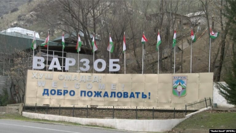 “Беш аз 1,1 млн сомонӣ пули буҷетро тасарруф кард”. Сармуҳосиби беморхонаи марказии Варзоб ба 11 соли зиндон маҳкум шудааст
