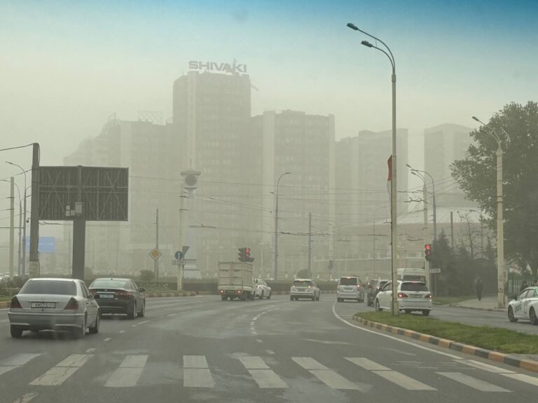 В Таджикистане ожидаются селевые явления и пыльные бури