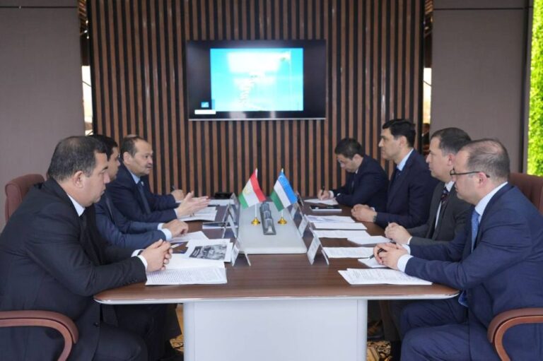 Таджикистан и Узбекистан обсудили упрощение таможенных процедур и внедрение системы VIN.TJ