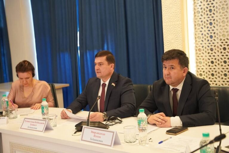 В Душанбе обсуждают вопросы оценки доз облучения при работах, связанных с природно-радиоактивными материалами