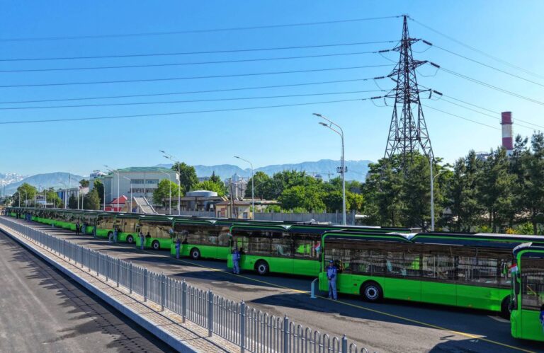 In Dushanbe, 30 more new electric buses start operating