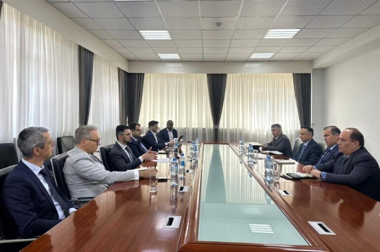 Major global investment companies show interest in Tajikistan’s economy