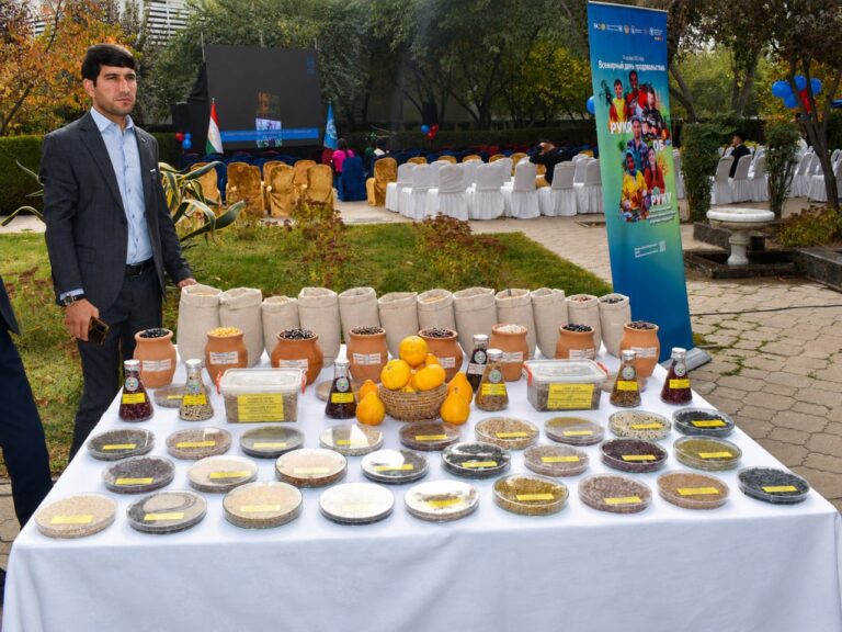 Emomali Rahmon instructs to address issues in seed production following criticism of the industry
